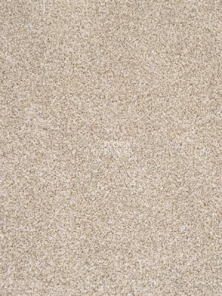 Ковролин AW Terra 34 фото 1 | FLOORDEALER